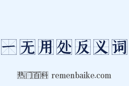 一无用处反义词是什么意思的图片